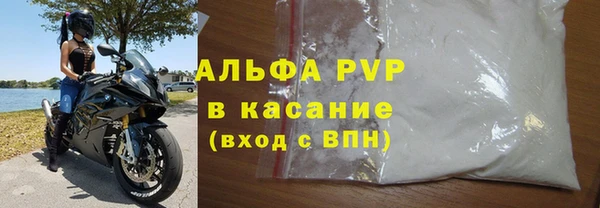 прущие грибы Липки