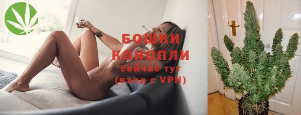 прущие грибы Липки