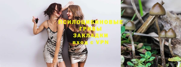 прущие грибы Липки