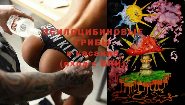 прущие грибы Липки