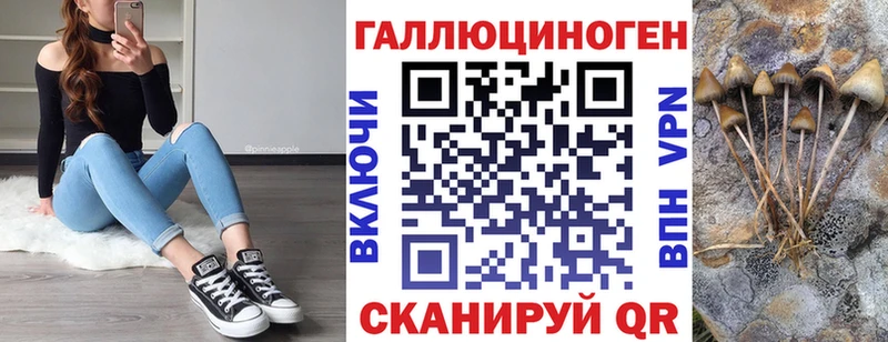 OMG ONION  купить   Усолье  Галлюциногенные грибы GOLDEN TEACHER 